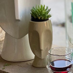 ISO Flora Bunda long face planter Nordstrom Rack